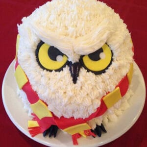 Parent & Kids Harry Potter Owl Cake 2nd July 2022