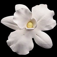 African Orchid  Small Edible Icing Flower