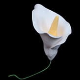 Calla Lilly Small Edible Icing Flower