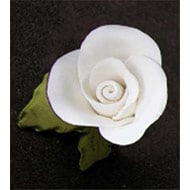 White Small Rose On Leaf